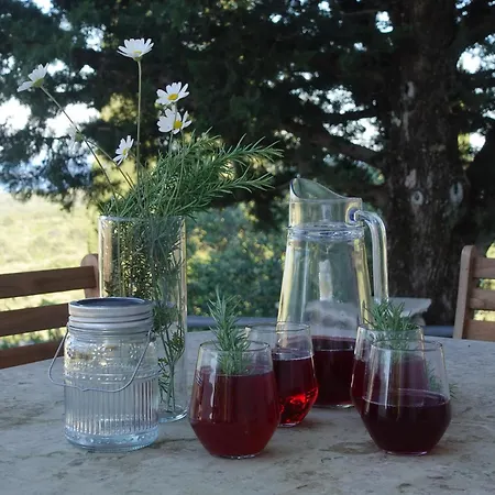 Solar Hill Vakantiehuis Zrnovo