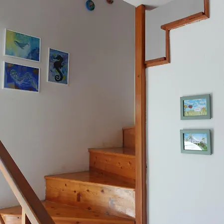 Solar Hill Holiday home Zrnovo