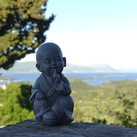 Solar Hill 別荘 Žrnovo