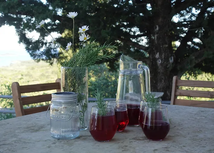 Solar Hill 別荘 Žrnovo